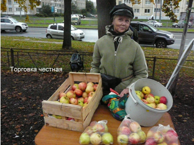 Фото 7.  Купите яблочки.