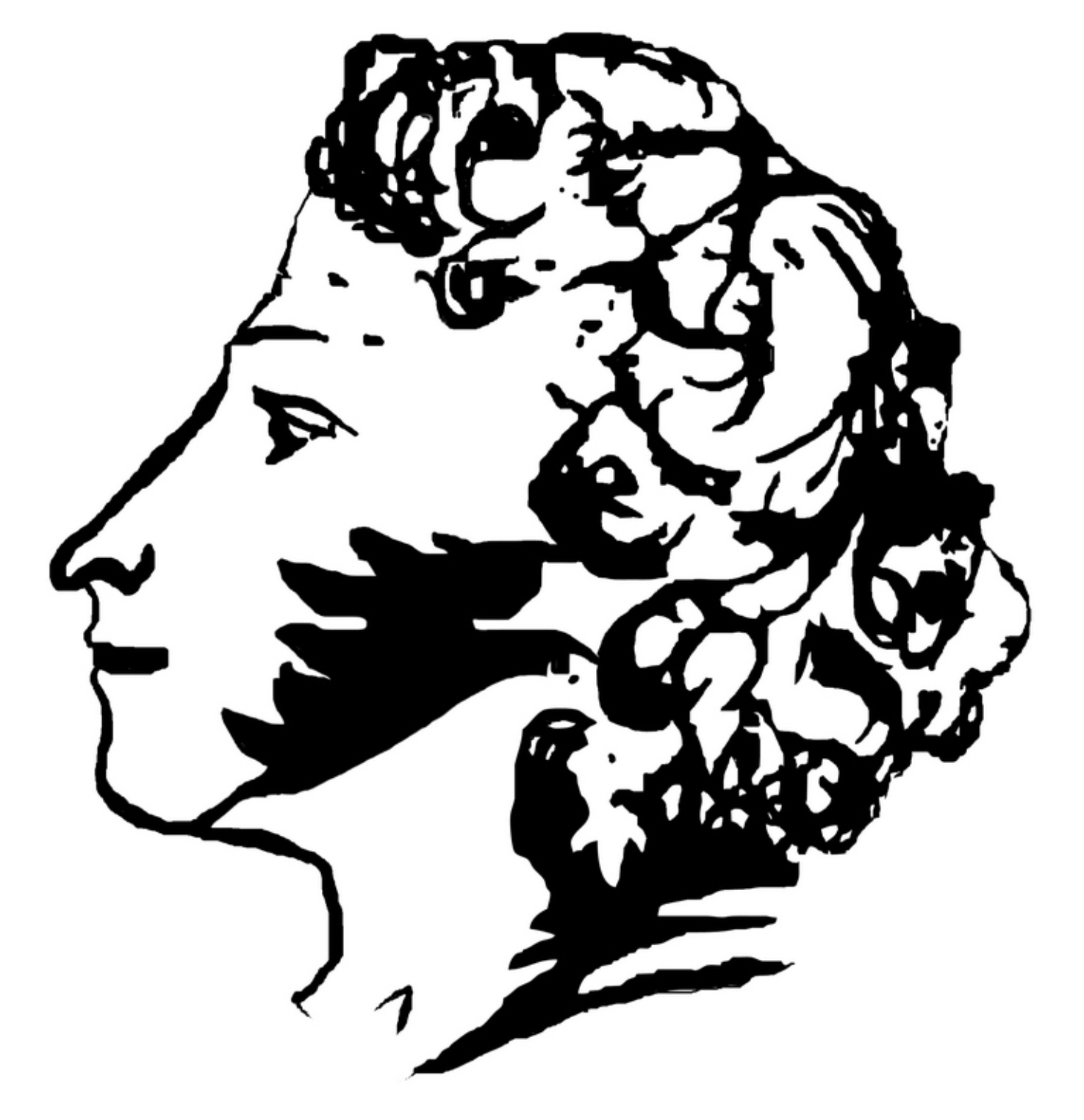 Пушкин автопортрет профиль